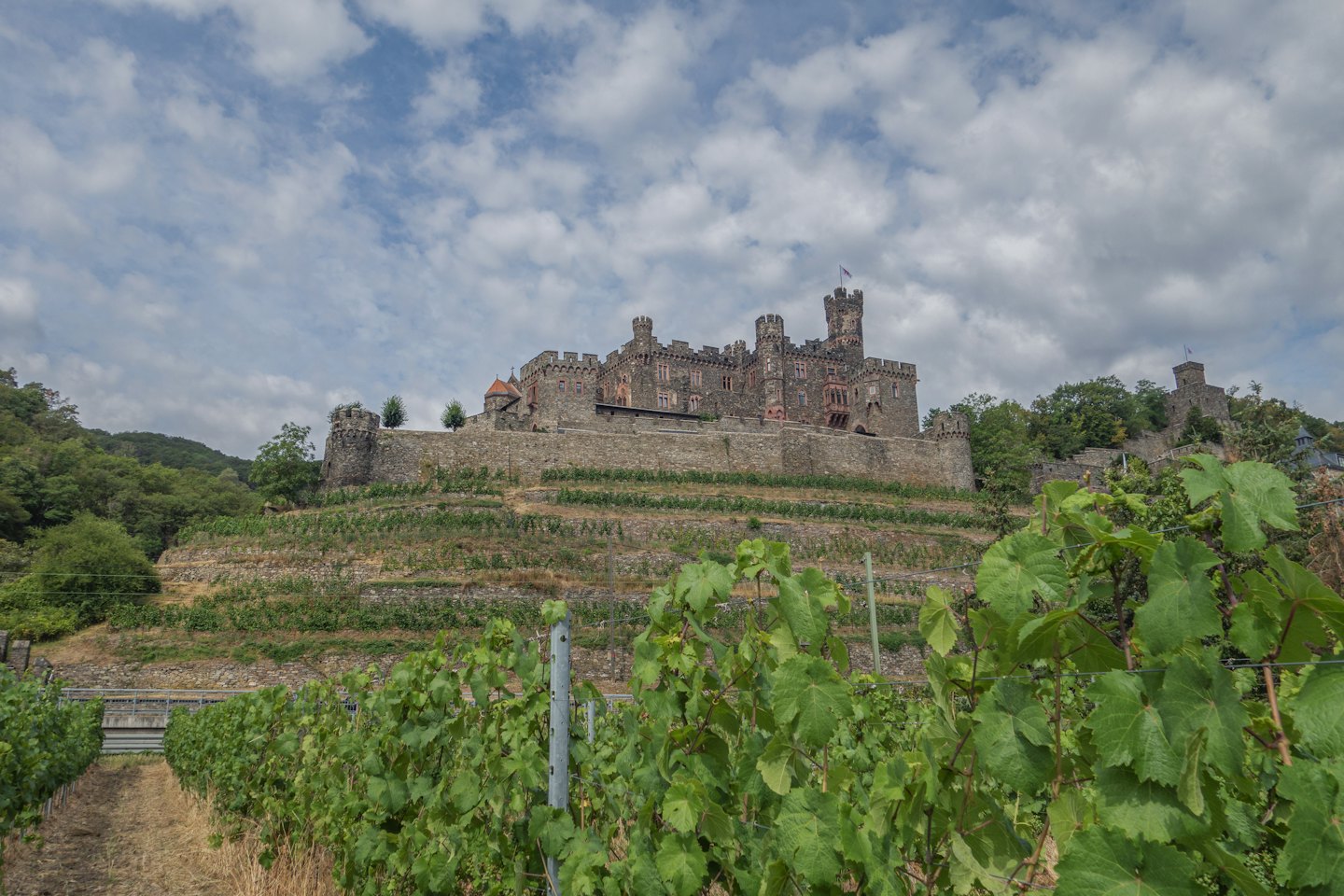Steinschloss mit Türmen thront über Weinbergzeilen.